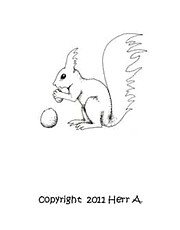 eihhörnchen124