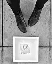 Polaroid Emulsion Lift