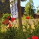 Kulturelle Landpartie im Wendland