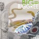 Ausstellung: BIGGREEN Atelier E-37