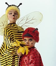 Bienen- oder Marienkäferperücke für Kinder