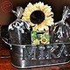 Sonnenblumen-Samen-Set für Kinder