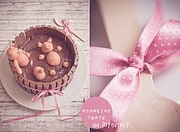 Pigs in the mud-cake oder die berühmte Blogger-Torte