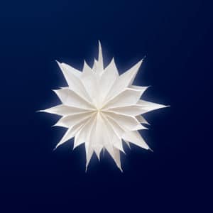 Weihnachtsstern Anleitung (Freebie)