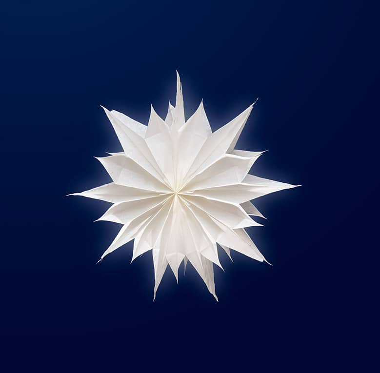 Weihnachtsstern Anleitung (Freebie)