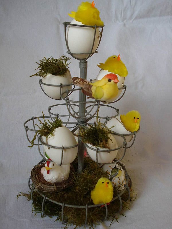 Ostern mit Küken