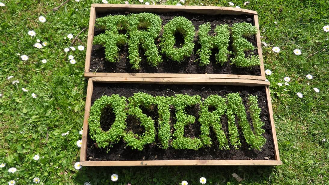 Frohe Ostern!