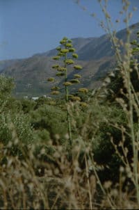 Kreativurlaub auf Kreta I
