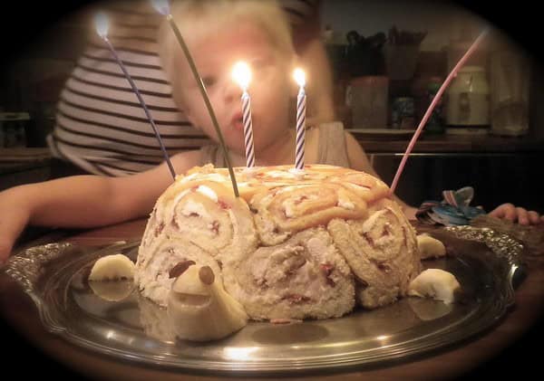 Schildkröte Kuchen... - HANDMADE Kultur