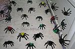 HALLOWEEN SPINNE selbst gemacht – Video