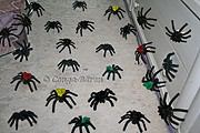HALLOWEEN SPINNE selbst gemacht – Video