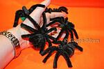 HALLOWEEN SPINNE selbst gemacht – Video