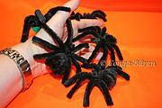 HALLOWEEN SPINNE selbst gemacht – Video