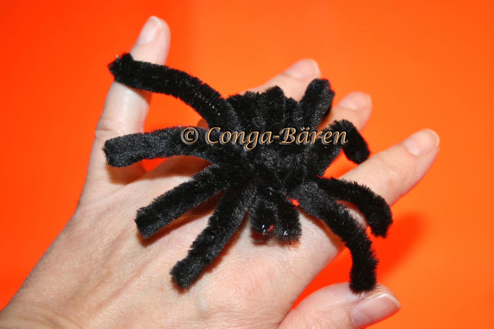 HALLOWEEN SPINNE selbst gemacht – Video