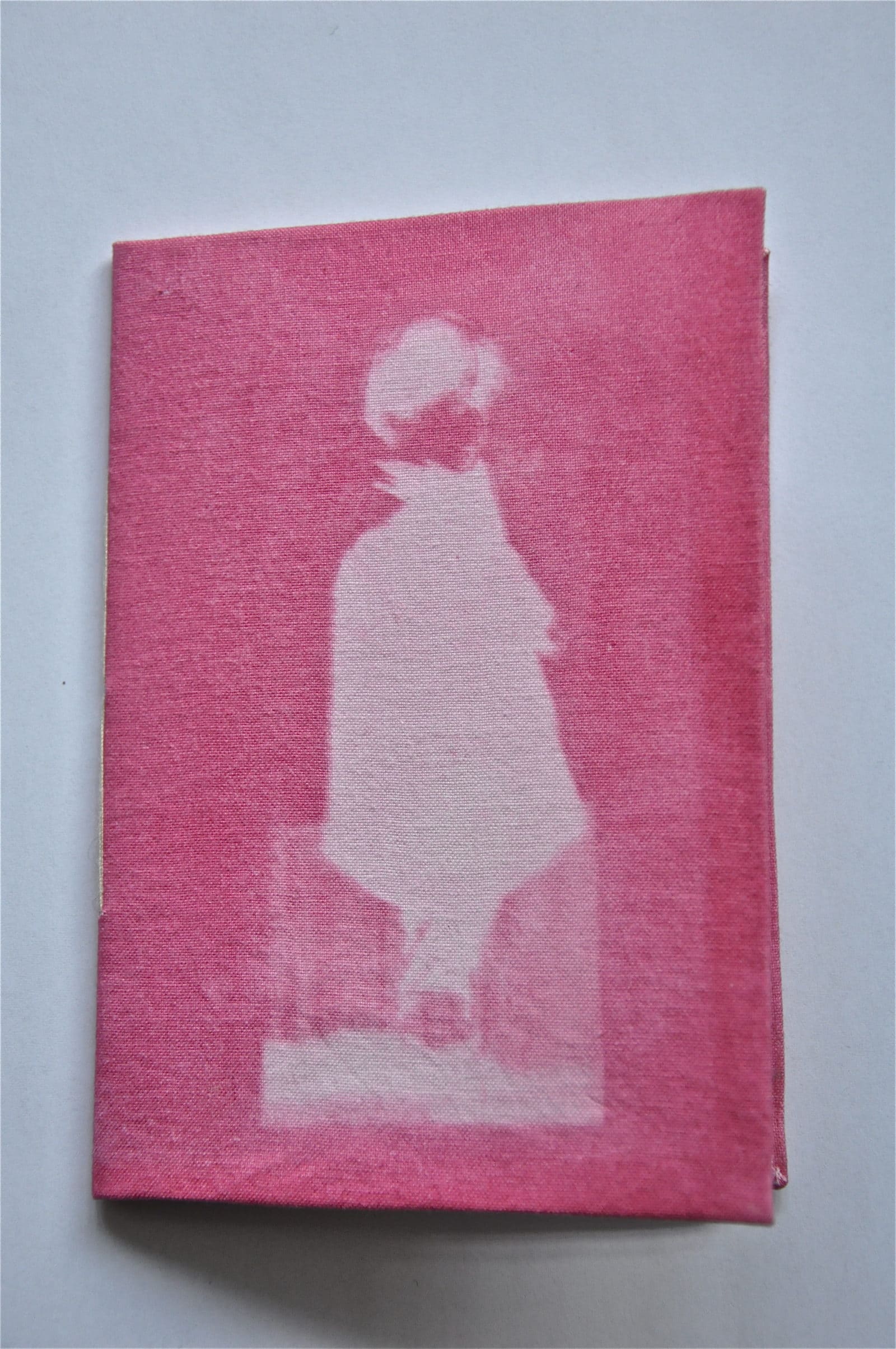 Phantome en rose – Stofffärben mit Inkodye