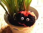 Marienkäfer-Pompon