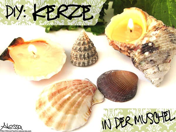 Kerze in der Muschel