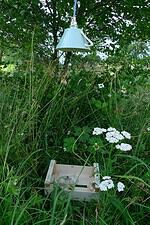 Birnenernte, Apfelschalen-Leuchte