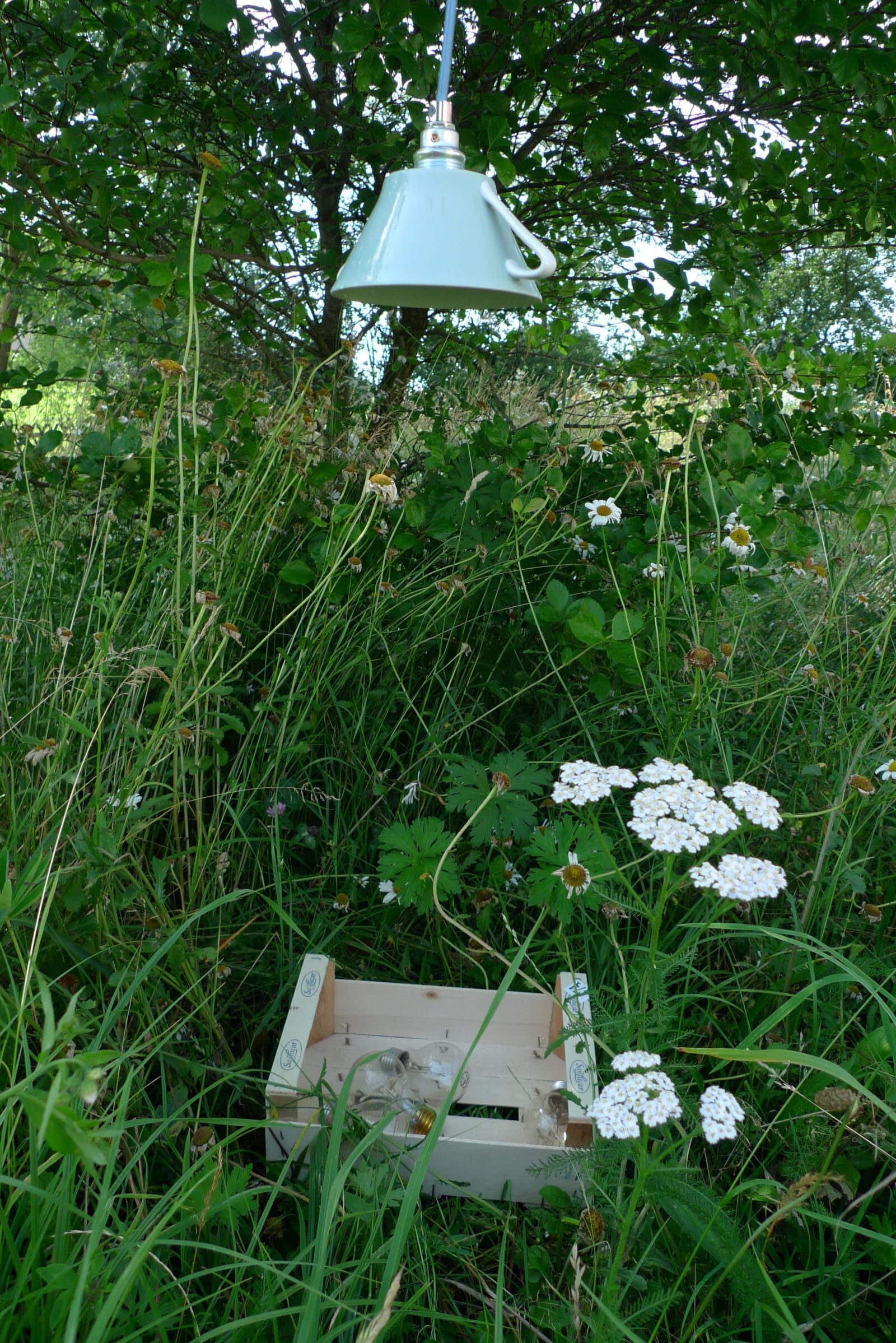 Birnenernte, Apfelschalen-Leuchte