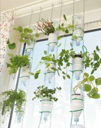 Aus Plastikflaschen wird ein Indoor-Garten