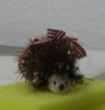 Kleiner Igel