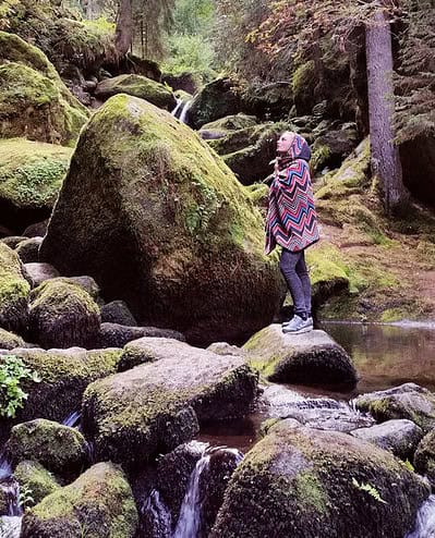 Wendeponcho