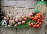 Herbstkränze