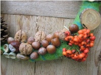 Herbstkränze