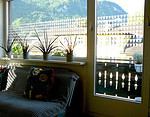 Fensterfolie in eigenem Design