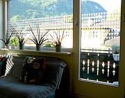 Fensterfolie in eigenem Design