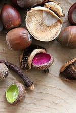 Kleiner Farbklecks für die Herbstdeko