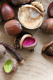 Kleiner Farbklecks für die Herbstdeko