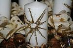 Adventskranz aus Naturmaterialien