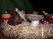 Adventkranz nach Waldorf Art