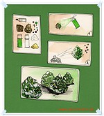 Tannenbäume oder Tannenzapfen – was war zuerst? DIY-Anleitung