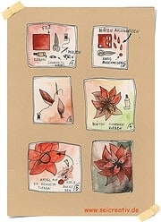 Weihnachtsstern-Brosche aus Filz DIY