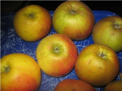 1.Äpfel