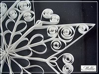 Quilling - Filligrane Papierkreationen im HandumDrehen Quilling - Filligrane Papierkreationen im HandumDrehen