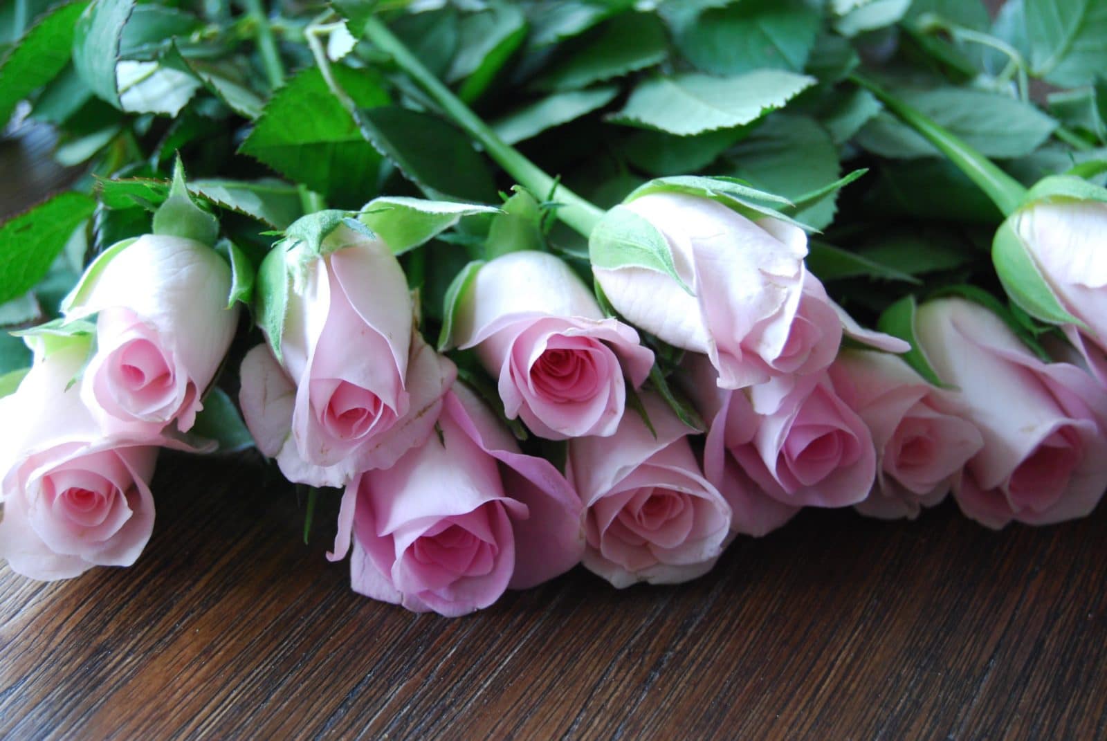 Rosa Rosen im Ei