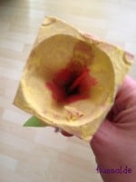 Osterblume… Eierblume… Blumeblume… Blume zu Ostern