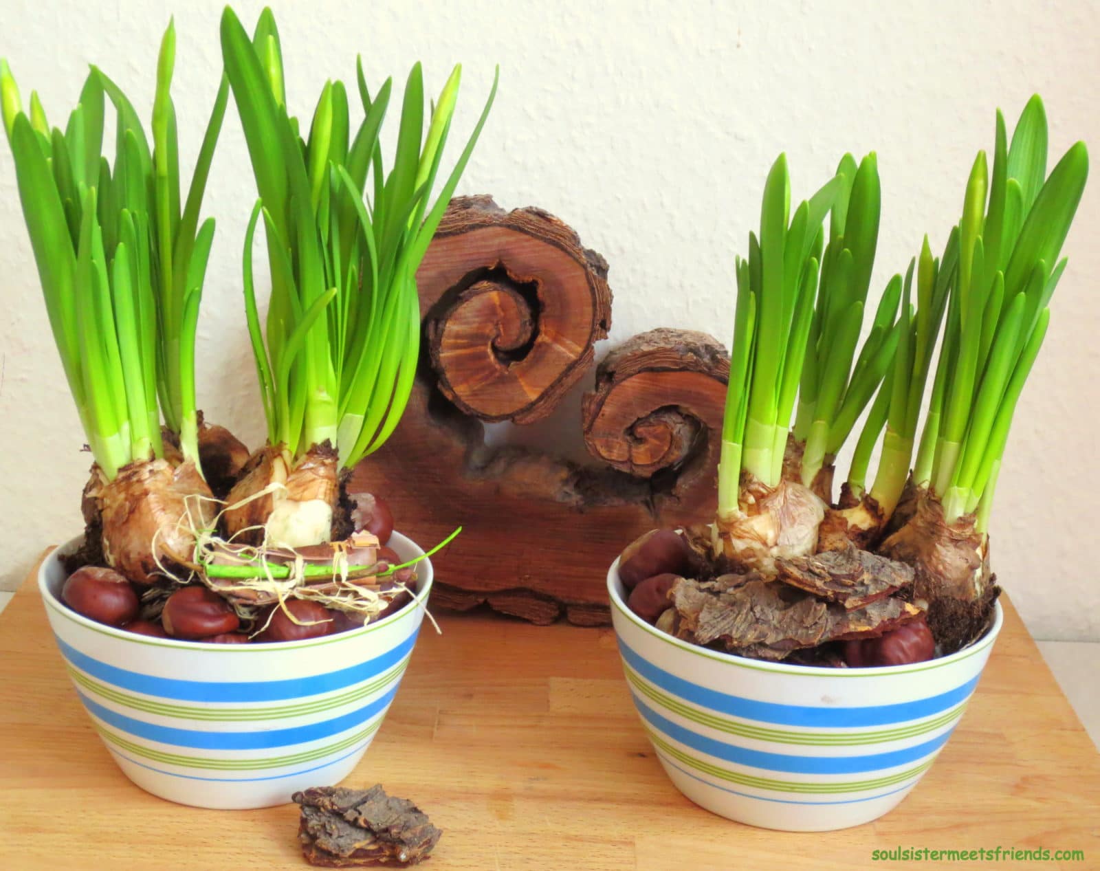 Frühling… heute mal indoor!