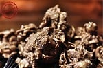 Erdnussbutter Choco Crossies