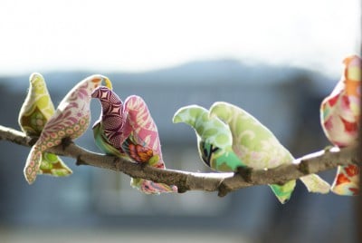 Early Birds
