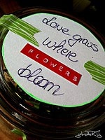 Pflanzen im Weckglas