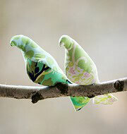 Early Birds