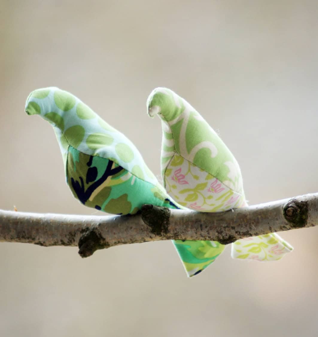 Early Birds