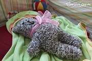 Teddybär stricken