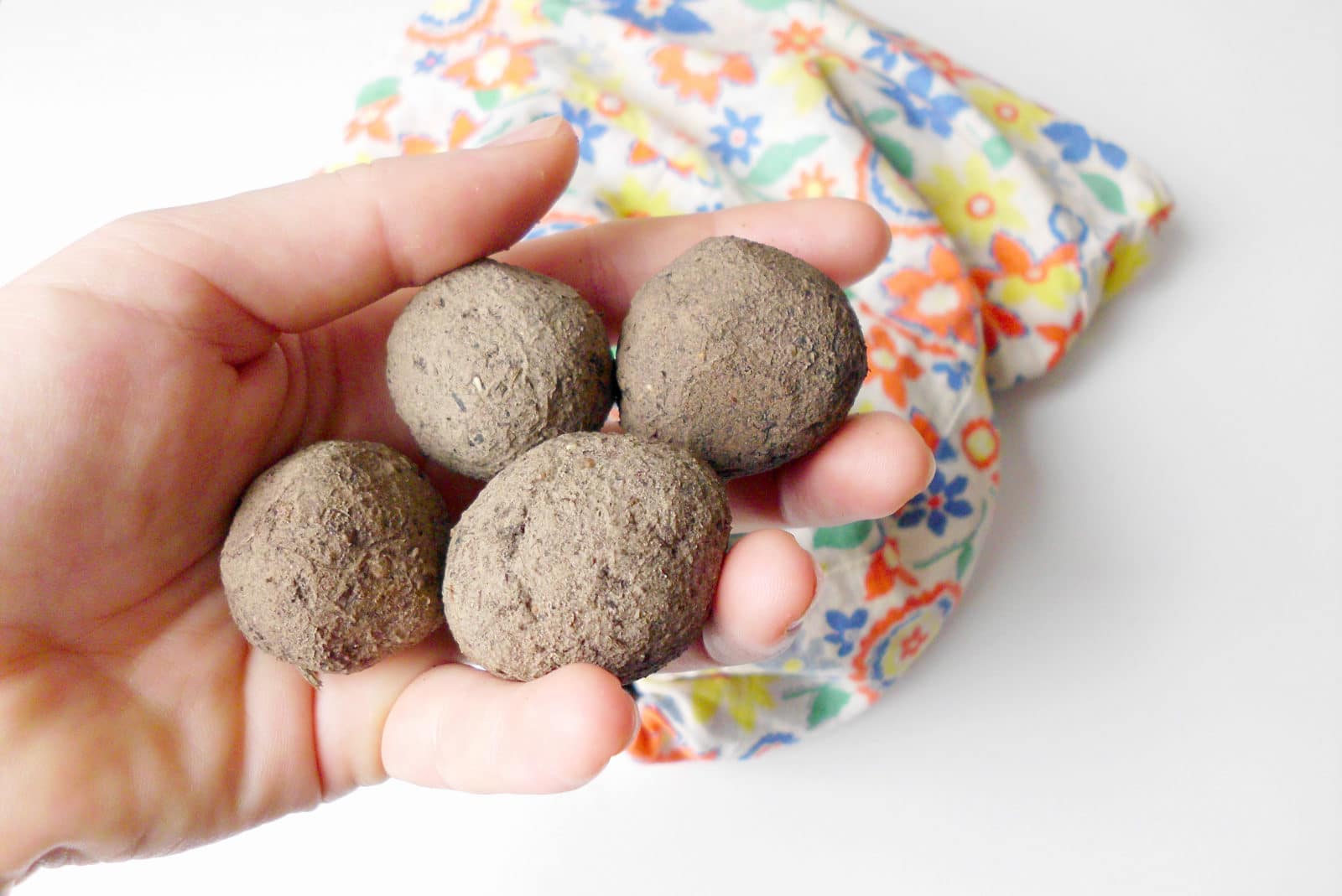 Seed Balls – Samenbomben