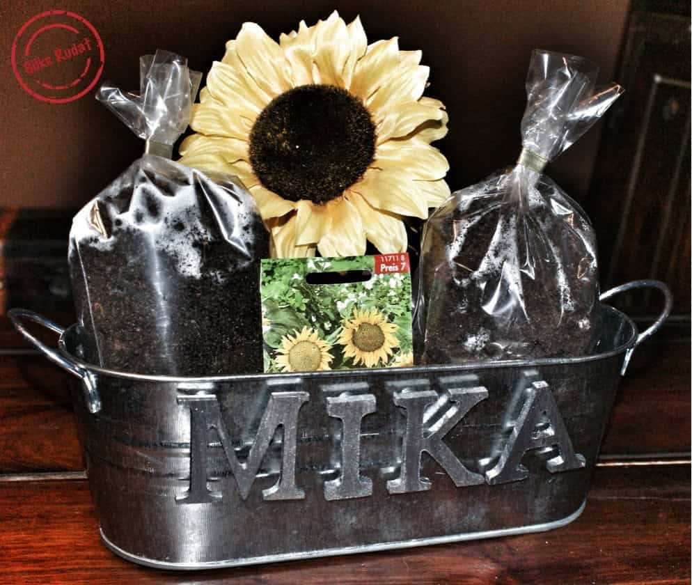Sonnenblumen-Samen-Set für Kinder