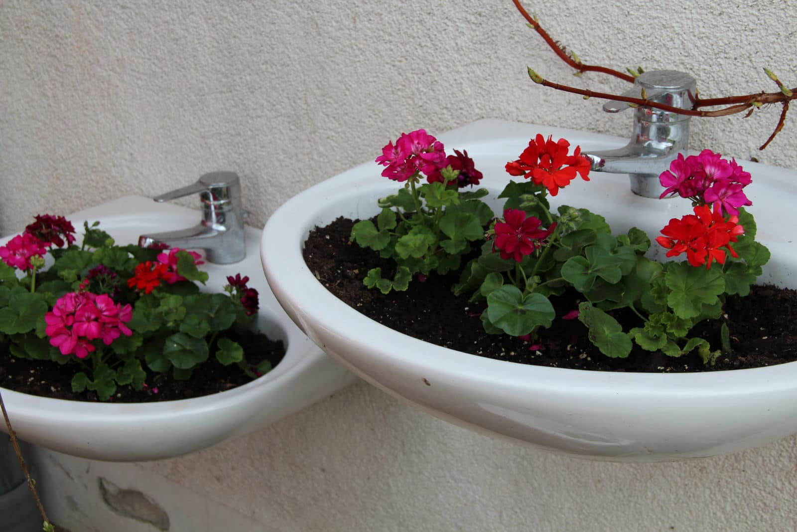 Waschbecken als Pflanzgefäße